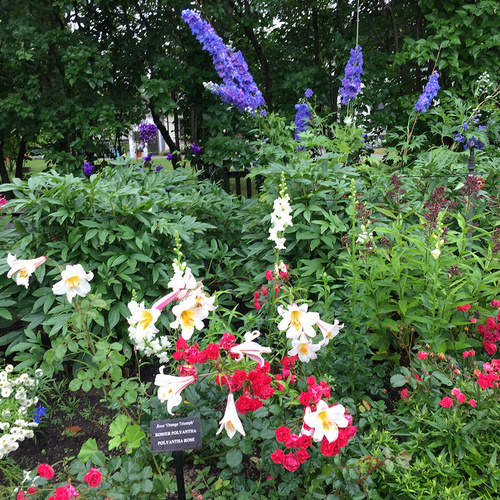 GPOD on the Road: Jardins de Métis