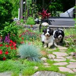 Luke and Toby in Tingshu’s Garden