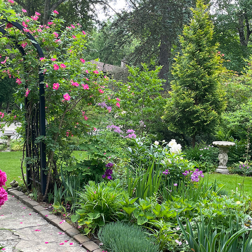 Susan’s 2025 Garden Year in Review