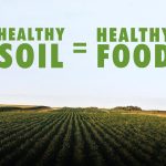 Ask Gardenerd: Heavy Metals in Soils Ask Gardenerd: Heavy Metals in Soils
