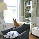 The Easiest Way to Remove Pet Hair From Furniture | Thrifty Decor Chick