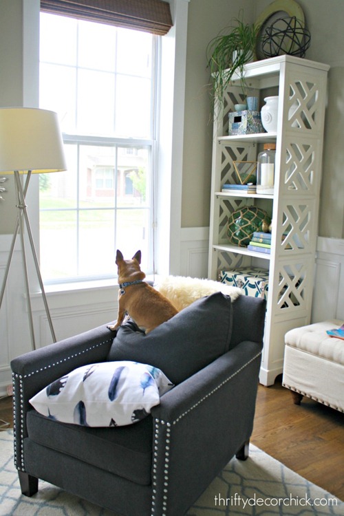 The Easiest Way to Remove Pet Hair From Furniture | Thrifty Decor Chick