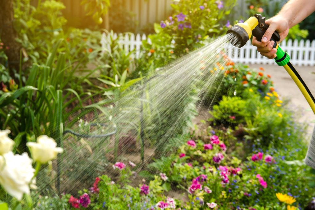 5 Garden Challenges That You Shouldn’t Ignore