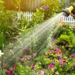 5 Garden Challenges That You Shouldn’t Ignore 5 Garden Challenges That You Shouldn’t Ignore