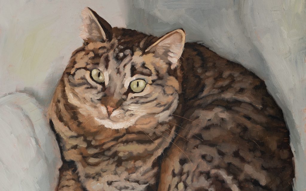 As seen on HGTV’s Fixer to Fabulous