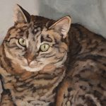 As seen on HGTV’s Fixer to Fabulous