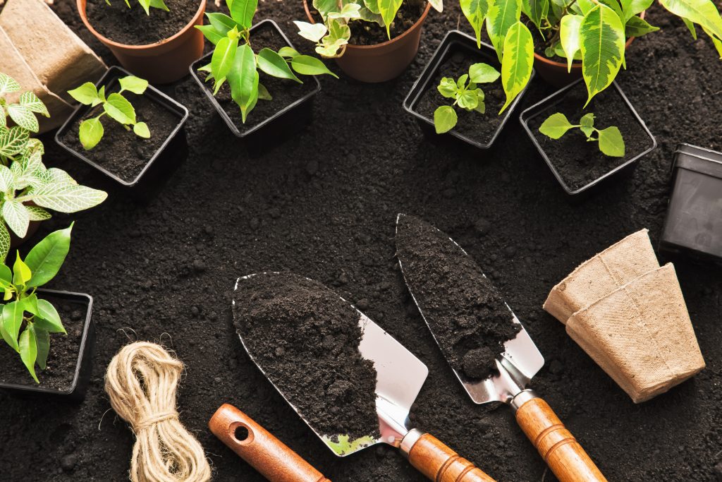 Simple Ways to Boost Safety in Your Garden