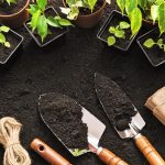 Simple Ways to Boost Safety in Your Garden Simple Ways to Boost Safety in Your Garden