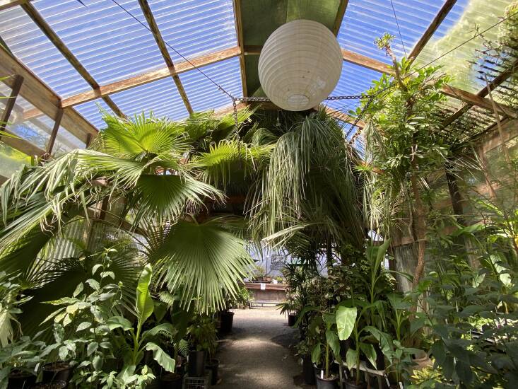 quick takes with: julie weiss