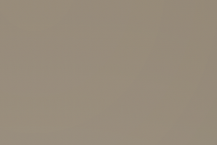 farrow & ball mouse's back 2