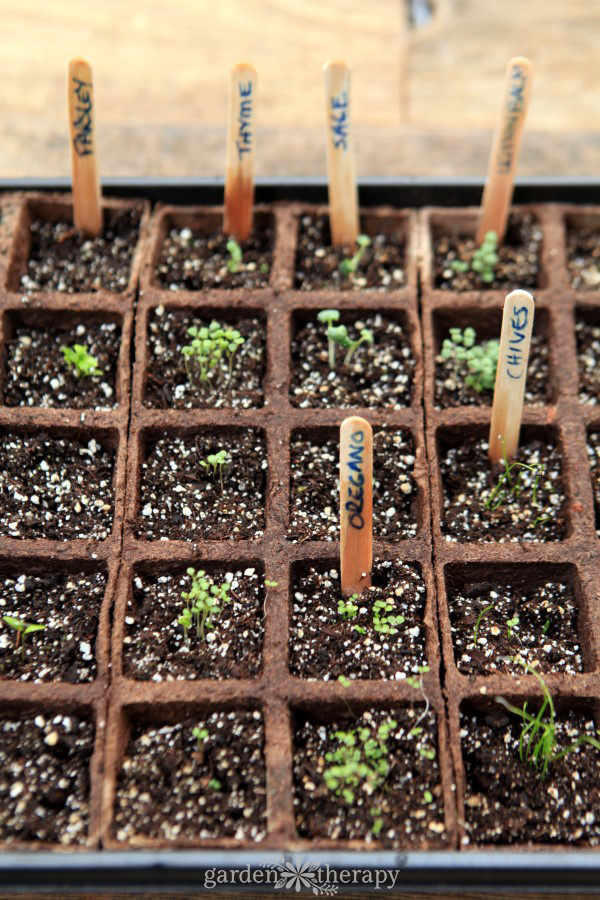 the best potting soil for plants: 6 peat-free diy soil recipes