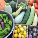 Vegetable Gardening in Arizona (2026 Guide for Desert Gardeners)