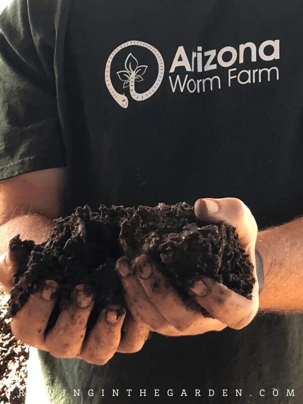 compost from arizona worm farm