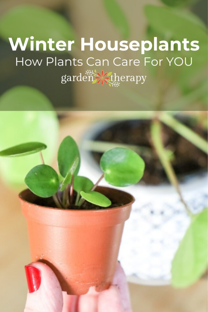 pin image for how winter houseplants can care for you through the darkest days of the year