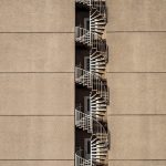 Symbolic Essay Autumn’s Ascent Through Golden Veins of Earth