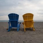 Poetic Guide: Weaving Sunlit Spaces with Living Willows