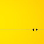 Poetic Guide Crafting Sanctuaries Where Time Unfurls Like Breathing Walls