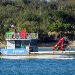 Poetic Guide: Cascading Fern Whispers