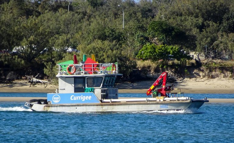 Poetic Guide: Cascading Fern Whispers