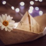 Seasonal Ritual: Morning Dew Check: Reconnecting with Dawn’s Quiet Rhythm Seasonal Ritual: Morning Dew Check: Reconnecting with Dawn’s Quiet Rhythm