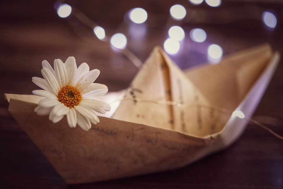 Seasonal Ritual: Morning Dew Check: Reconnecting with Dawn’s Quiet Rhythm