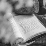 Seasonal Ritual: Autumn’s Amber Lessons on Letting Go Starts Harvesting Gratitude’s Gold