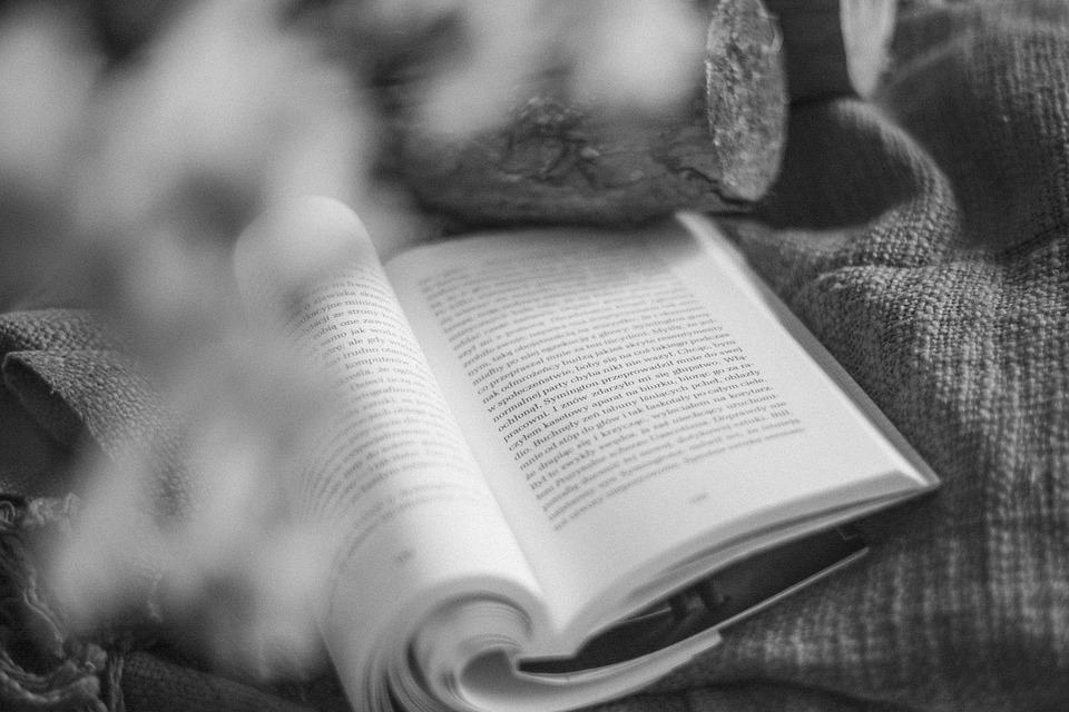 Seasonal Ritual: Autumn’s Amber Lessons on Letting Go Starts Harvesting Gratitude’s Gold