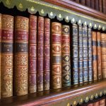 Best Of: Moonlit Trowels, Lichen’s Gentle Chemistry