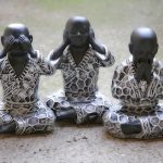 Top 5 Ideas: The Alchemy of Rainwater Pearls Unveiled Top 5 Ideas: The Alchemy of Rainwater Pearls Unveiled