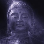 Best Of: Dawn’s Gold in the Garden’s Breathless Pause Best Of: Dawn’s Gold in the Garden’s Breathless Pause