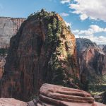 Symbolic Essay: Ancient Oaks and Rooted Tranquility