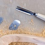 Symbolic Essay Sunbeam Illumination in Dried Flower Arrangements