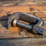 Symbolic Essay: Burying Seed in Morning Light Symbolic Essay: Burying Seed in Morning Light