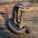 Symbolic Essay: Where Petals Sing