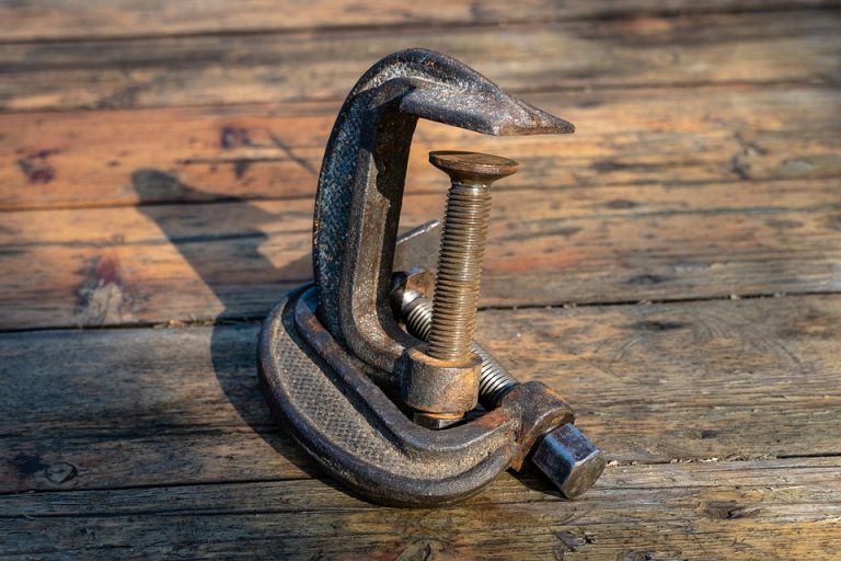 Symbolic Essay: Where Petals Sing