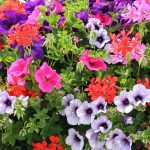 Eco How-To: Repurposing Spaces With Kinship