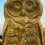 Symbolic Essay on Echoes of Petals Past