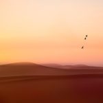 Poetic Guide: Hearth-Lit Sanctuaries, Breathing in Quiet Joy Poetic Guide: Hearth-Lit Sanctuaries, Breathing in Quiet Joy