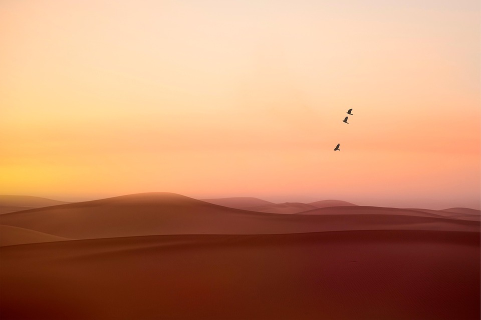 Poetic Guide: Hearth-Lit Sanctuaries, Breathing in Quiet Joy