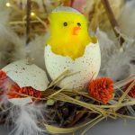 Top 5 Ideas: Acorn, Ivy, Pinecones Top 5 Ideas: Acorn, Ivy, Pinecones