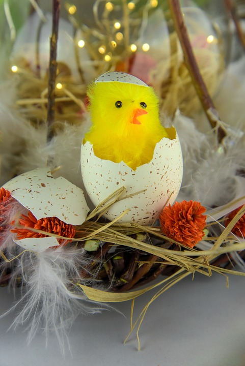 Top 5 Ideas: Acorn, Ivy, Pinecones Top 5 Ideas: Acorn, Ivy, Pinecones