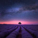 Poetic Guide to Quiet Corners Poetic Guide to Quiet Corners