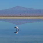 Seasonal Ritual Morning Frost’s Delicate Dance Inhabiting Valleys