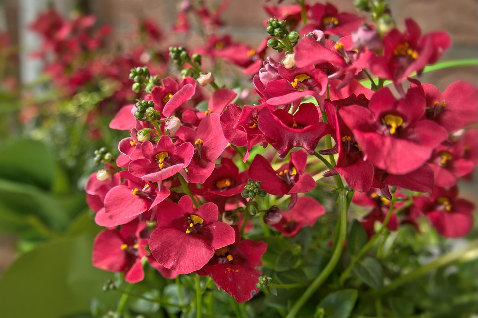 Symbolic Essay: Cracks Where Resilience Grows