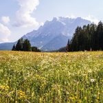 Eco How-To: Moss-Bound Architecture & Earth-Rooted Design