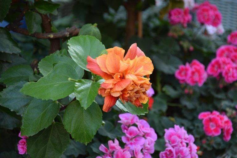 Best Of: Mindful Moss Embers