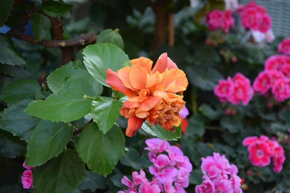 Best Of: Mindful Moss Embers