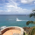 Top 5 Ideals: Unraveling the Threads of Living Felt from Willow Trees