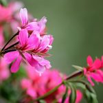 Eco How-To: Tubes Transform into Botanical Vents Alive