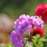 Eco How-Toe Eerly Beauty iiii Creating Old From Overlooked Eco How-Toe Eerly Beauty iiii Creating Old From Overlooked